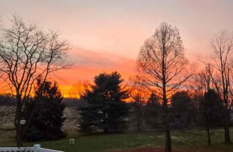 The Little Issues E-newsletter #501 R...